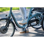 Van Raam Maxi driewielfiets - Afbeelding 12