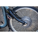 Van Raam Maxi driewielfiets - Afbeelding 13