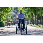 Van Raam Midi driewielfiets - Afbeelding 4