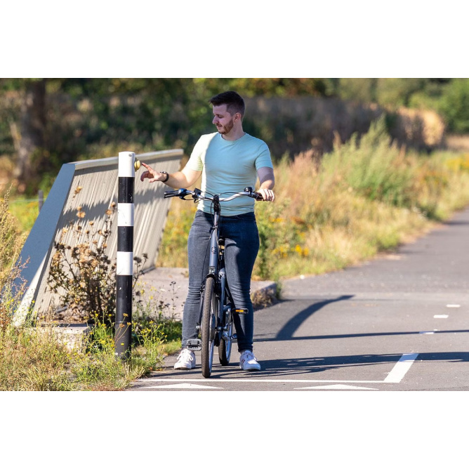 Van Raam Balance lage instapfiets - Afbeelding 4