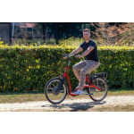 Van Raam Balance lage instapfiets - Afbeelding 5