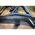 Van Raam Balance lage instapfiets - Afbeelding 11