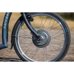 Van Raam Balance lage instapfiets - Afbeelding 12