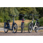 Van Raam Balance lage instapfiets - Afbeelding 13