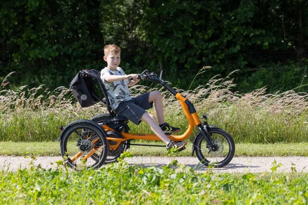 1718782572-tricycle-children-easy-rider-compact-small-van-raam Easy Rider Compact small - Afbeelding 2