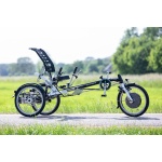Van Raam Easy Sport ligdriewielfiets - Afbeelding 2