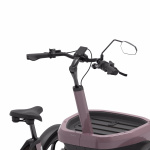 Thuja - Van Raam driewielfiets - Afbeelding 20