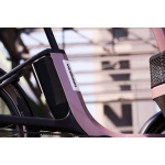 Thuja - Van Raam driewielfiets - Afbeelding 10