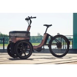 Thuja - Van Raam driewielfiets - Afbeelding 7