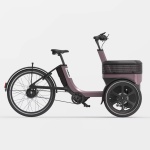 Thuja - Van Raam driewielfiets